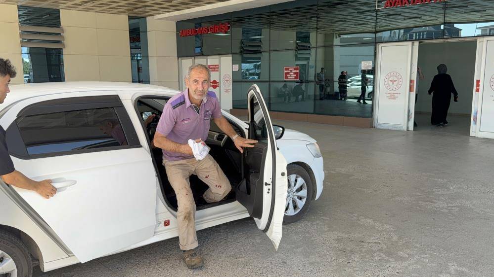 Gelenek bozulmadı: Acemi kasaplar acil servislerin yolunu tuttu 1